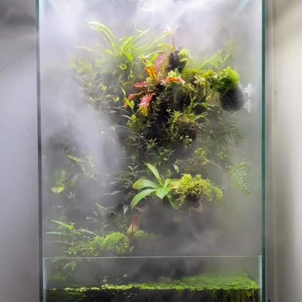 Vernebler Hobby Hygro System