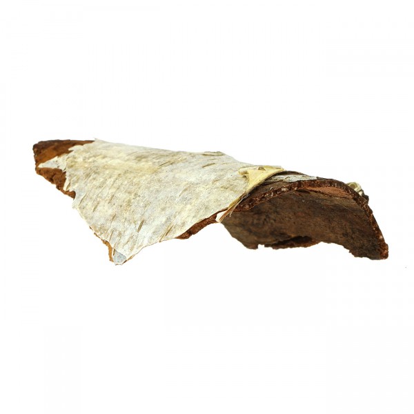 Birkenrinde Garnelenversteck