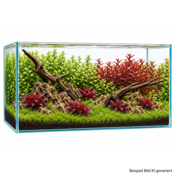 Aquascape Pflanzenset Rot-Grün groß Frontansicht