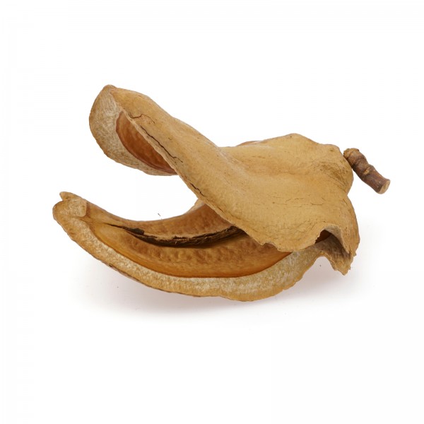 Froschmaulschote | Wasserpflegemittel & Versteck