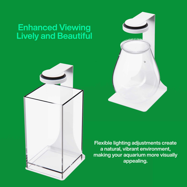 Chihiros | Magnetic Light 2 Beispiel