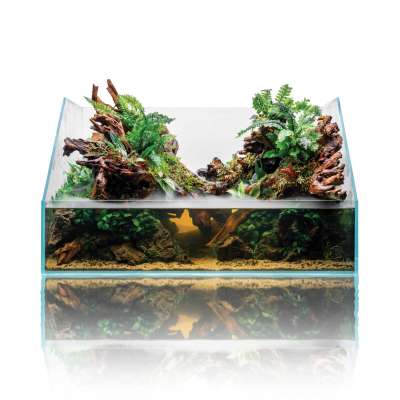 DOOA - Neo Glass TERRA h23 I Weißglasaquarium | Garnelen-Guemmer