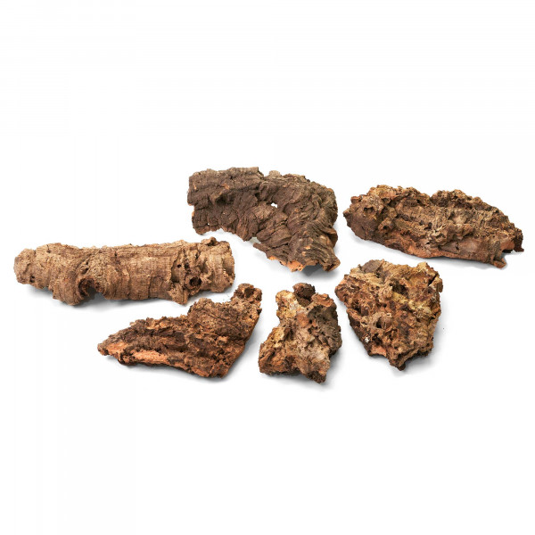 Naturkorkstücke | Korkstücke für Terrarium, Paludarium & Wabi-Kusa - 5 - 20cm - 500g