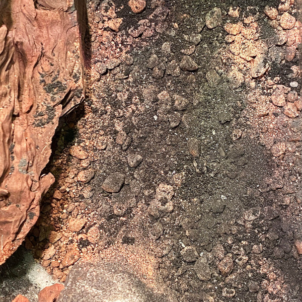 Ground Power Bodengrundzusatz Aquarium