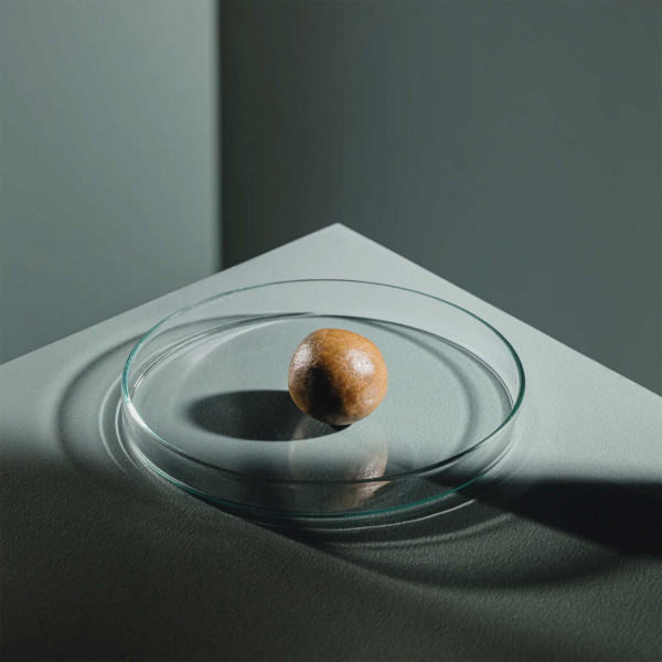 StreamBiz Favoriten-Set | Mückenlarven & Artemia für Zierfische - Artemia Paste