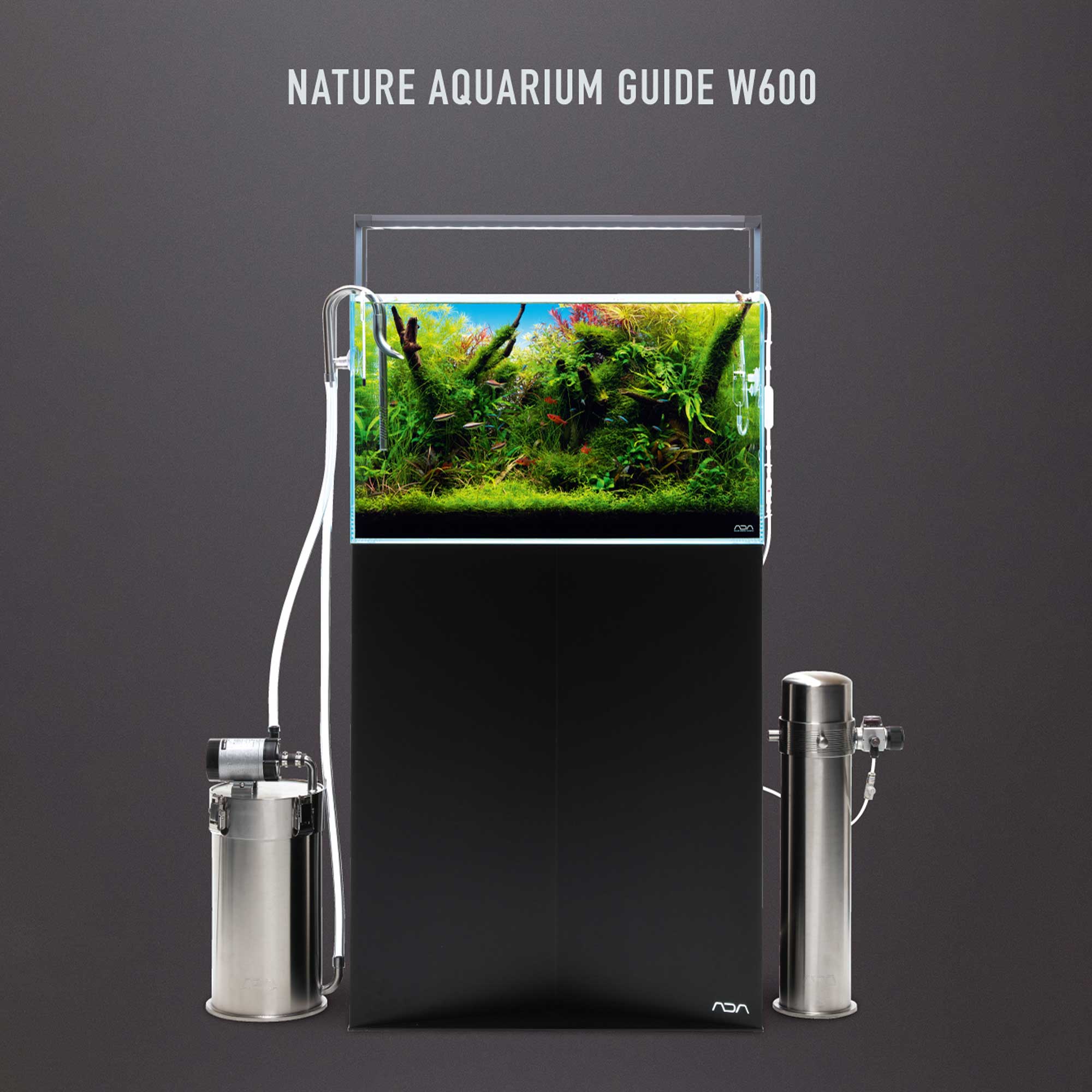 ADA Nature Aquarium Guide W600 | Garnelen-Guemmer