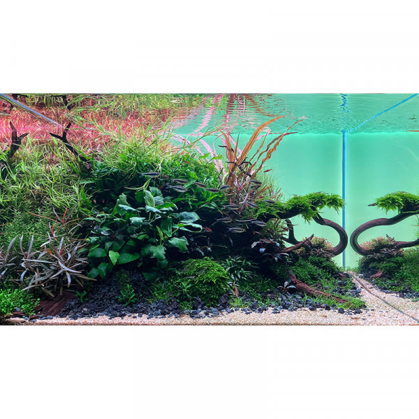 Naturaquarium-Ralph-Bethge