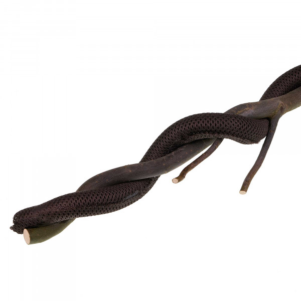 Hygrolon Liane | Dekoration für Terrarium und Wabi-Kusa Beispiel