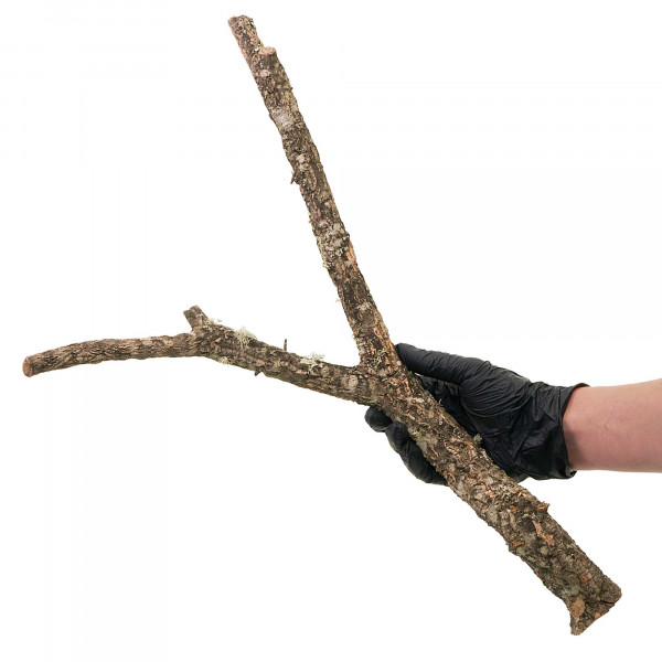 Naturkorkäste für Terrarium| Kork-Tronchos - ca. 60cm Einzeln