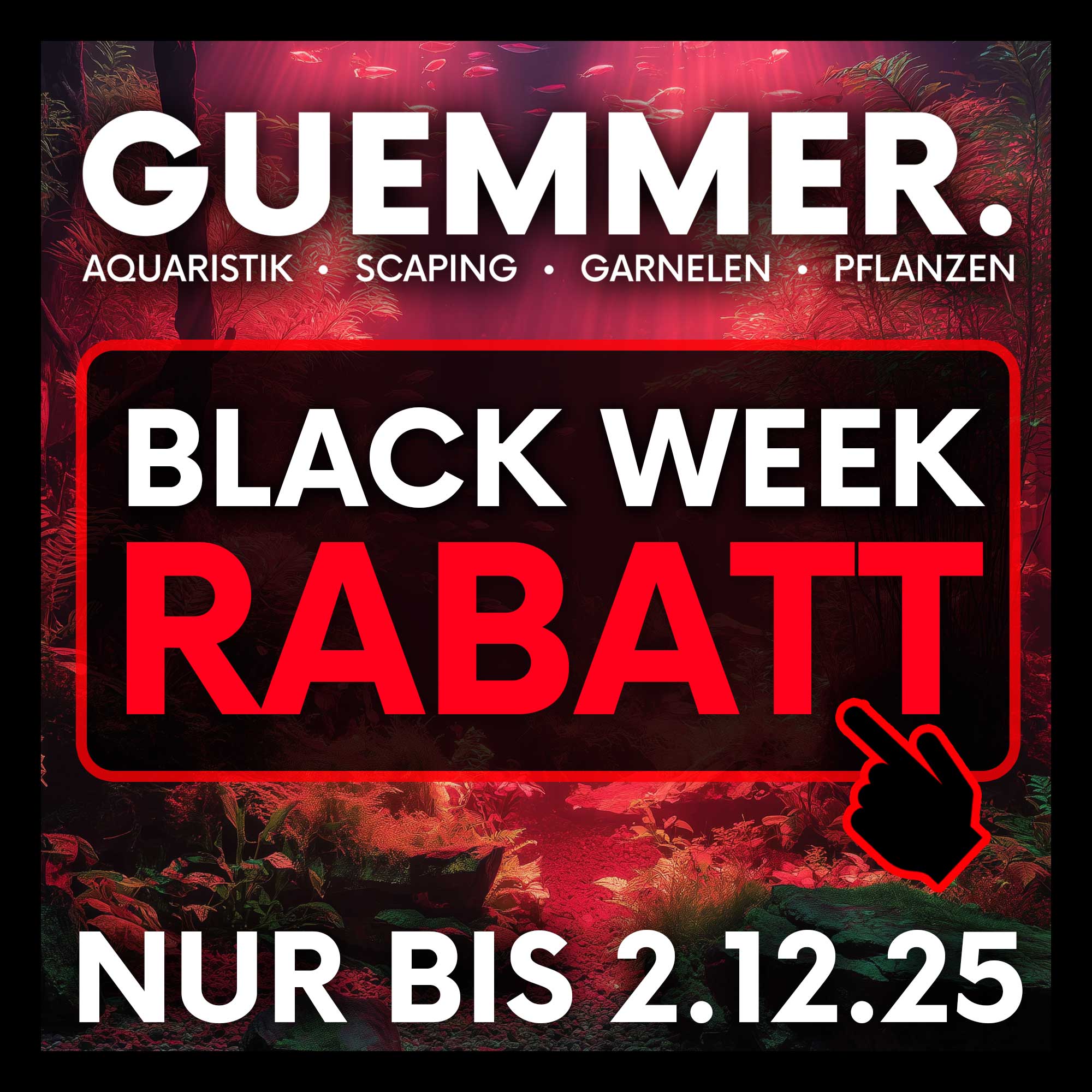 GUEMMER BLACK WEEK 2025