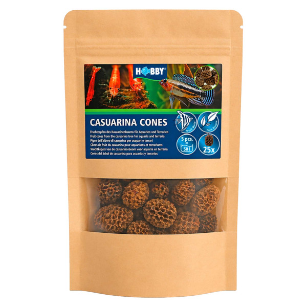 Hobby Casuarina Cones 25 Stk.