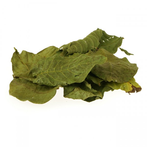 Nano Walnussblätter