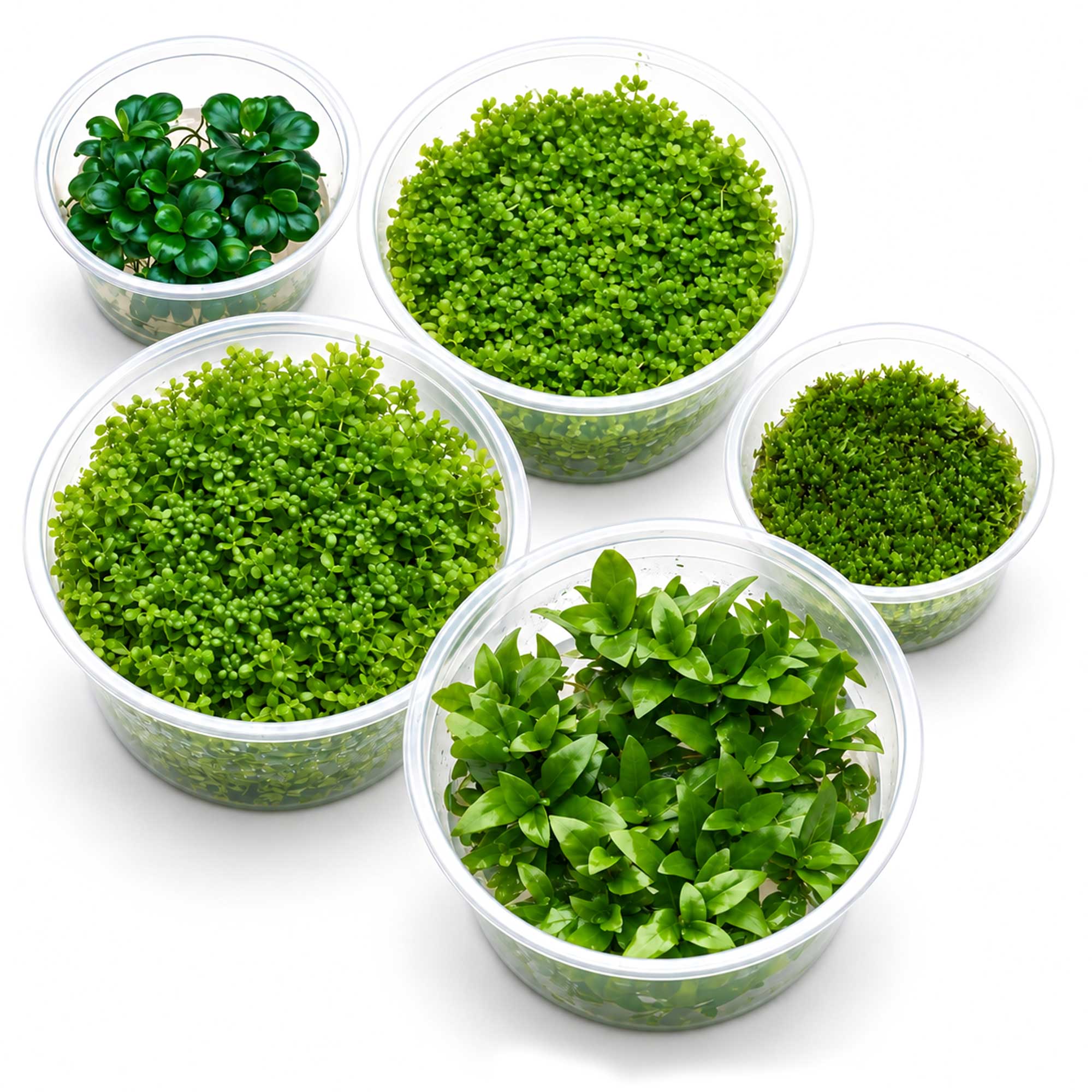 Lieferumfang des The Green Nano Cube Sets für 30 bis 50 Liter