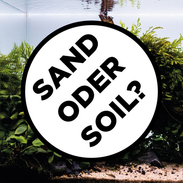 sandodersoil