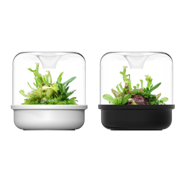 Bioloark LUJI Cup MY 150 K