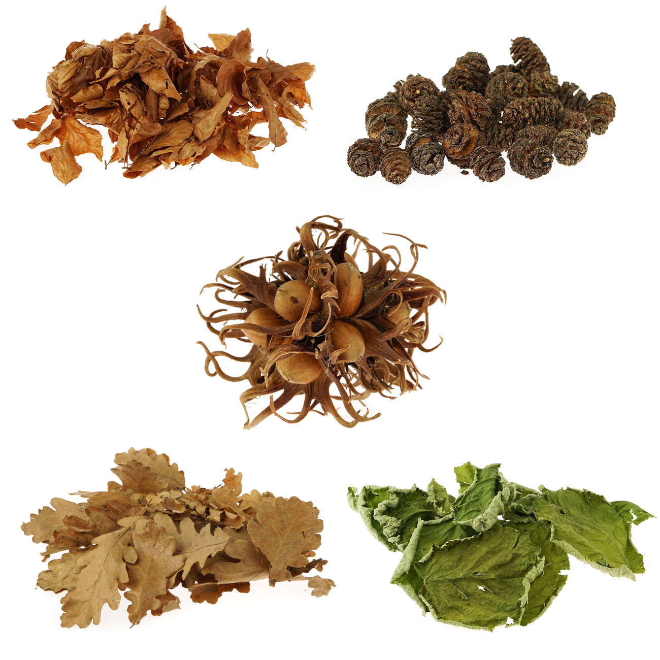 Nano Starterset Naturprodukte 6-teilig – Futter Für Garnelen, Wasserschnecken & Krebse