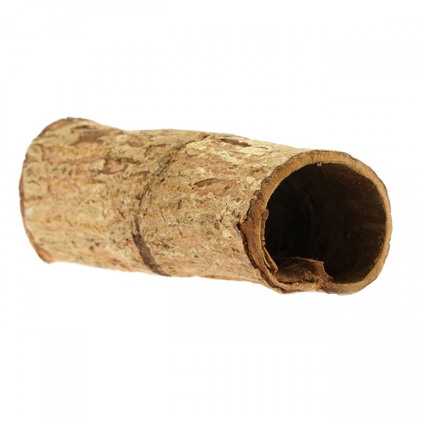 Seemandelbaum Höhle