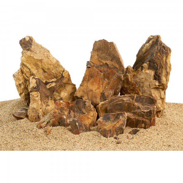 Versteinertes Holz Hardscape Aquascaping Aquaristik