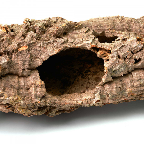 Korkröhren für Terrarium | Natürliche Verstecke und Klettermöglichkeiten Makro