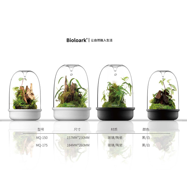 Bioloark Luji Cup MQ | WabiKusa Glas