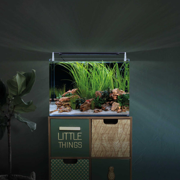 Dennerle Nano Tank Complete 35 Liter Beispiel