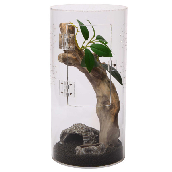 Hobby | Terra Fix & Easy Insect Line - Mini Terrarium Beispiel