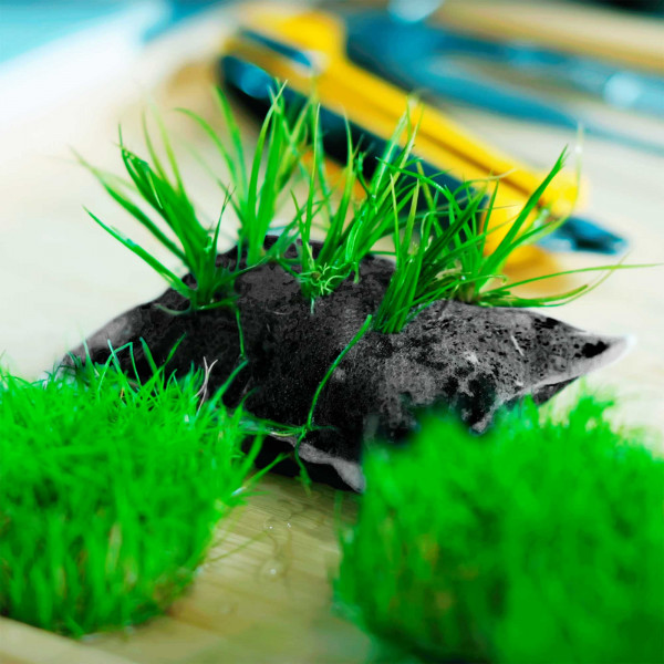 AQUAGROW Insula Pad Bepflanzung Beispiel