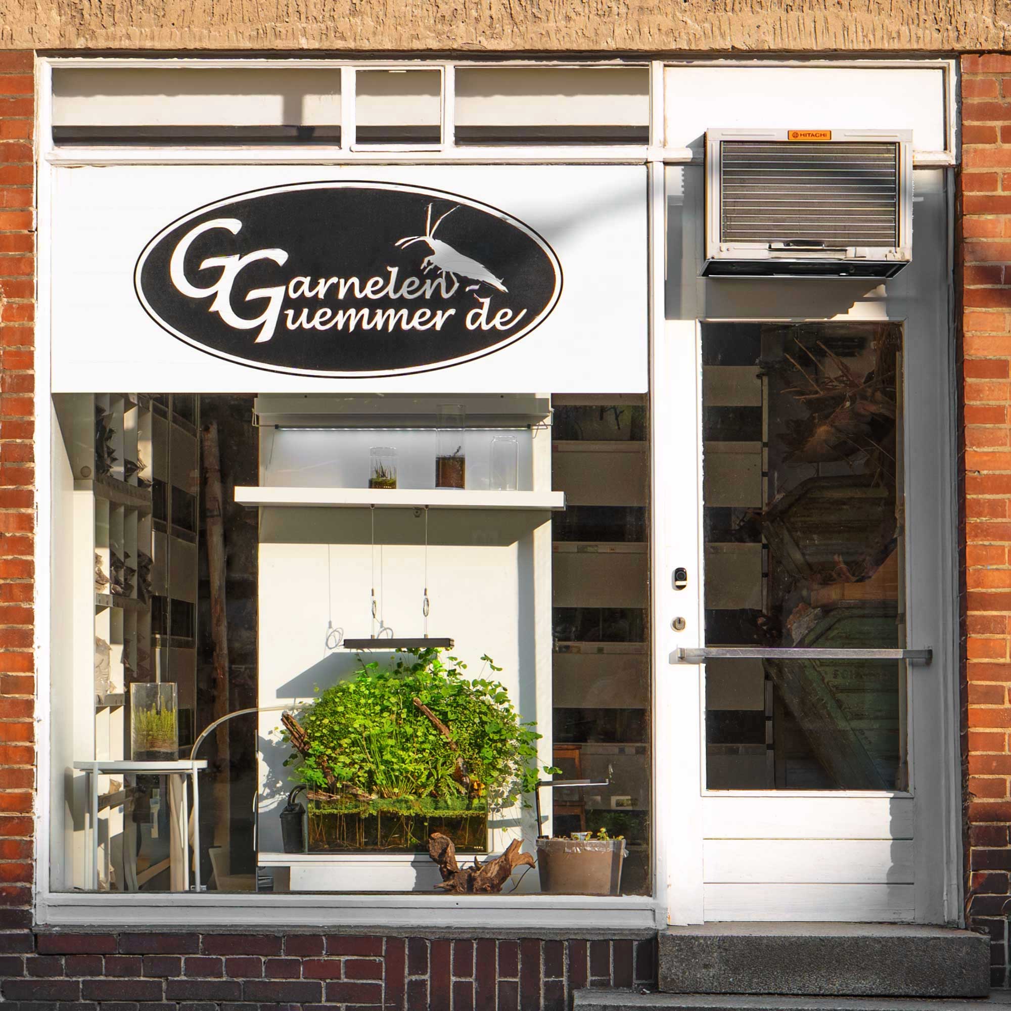 Aquaristik Laden Berlin  Pflanzen, Garnelen & Aquascaping Zubehr