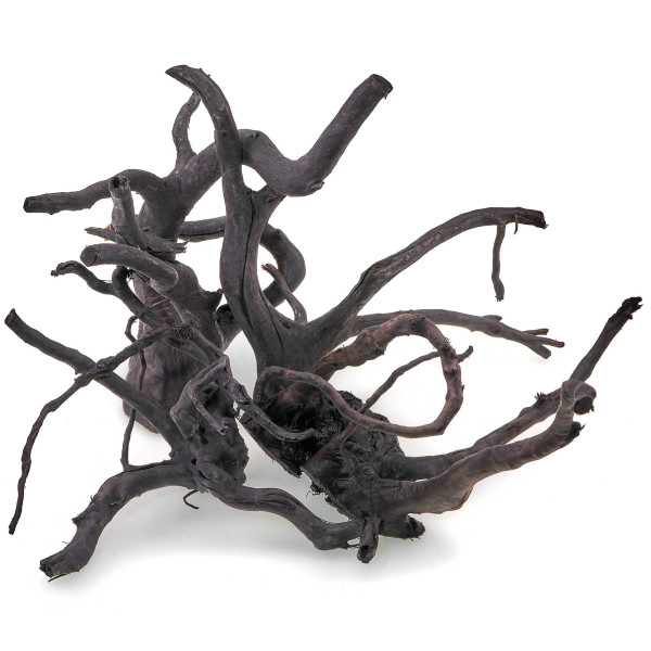 Schwarze Moorwurzel Fingerwurzel | Set S