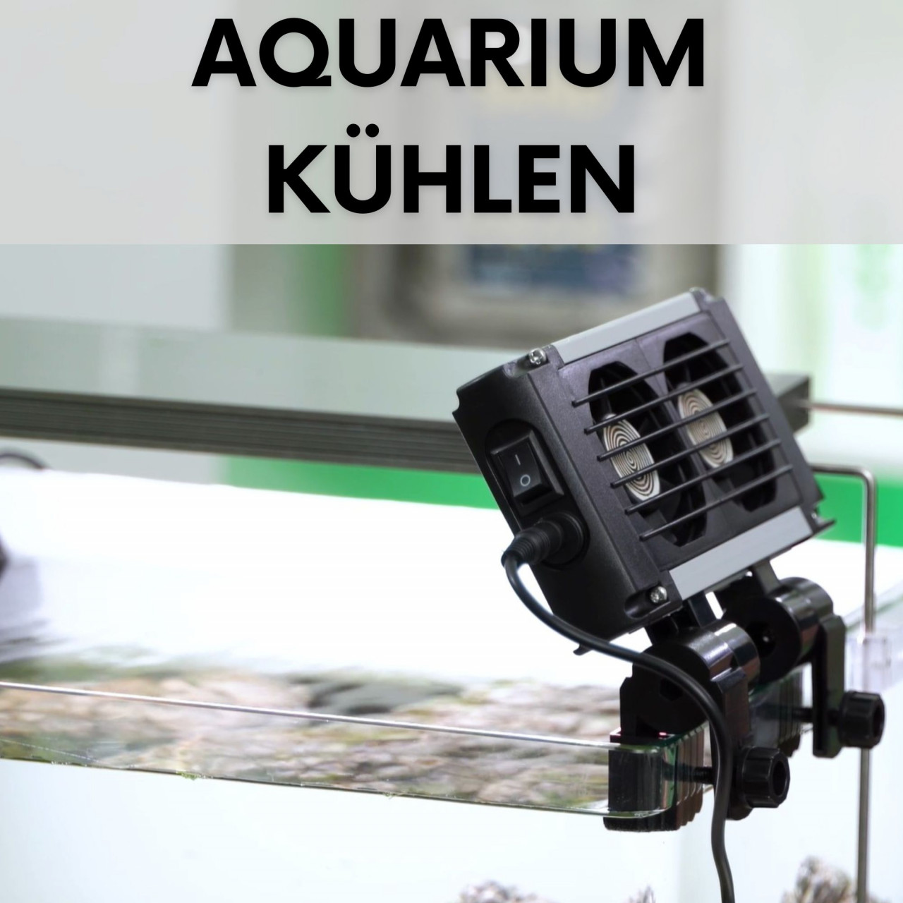 aquarium-kuehlen-sommer