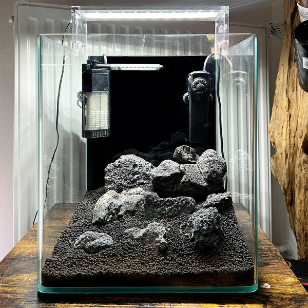 Kampffisch Aquarium eingerichtet mit Hardscape, Technik und Bodengrund