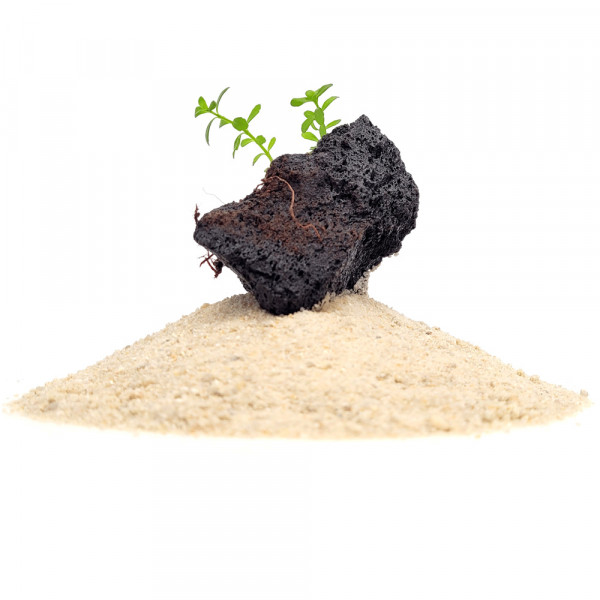 wiodecor heaven aquariensand