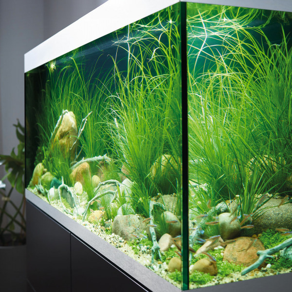 Oase HighLine Optiwhite 400 | Set aus Aquarium und Unterschrank
