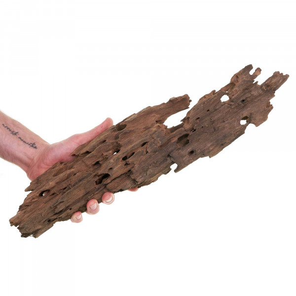 Dragonwood | Drachenholz | Ohkowood Set