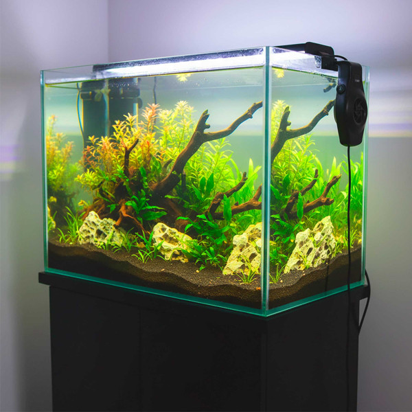 Hobby Aqua Cooler V1 Ansicht am Aquarium