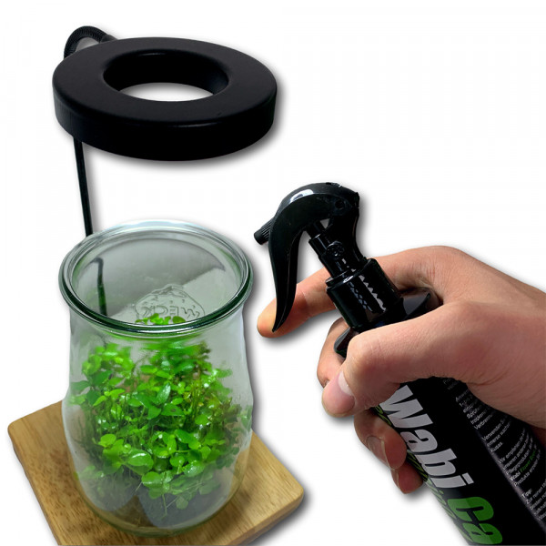 Greenscaping Wabi Kusa pflege