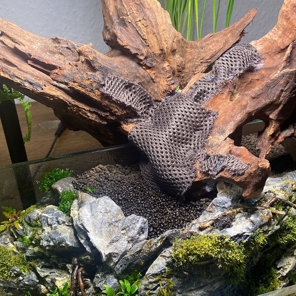 Hygrolon zur Begrünung in Terrarium und Wabi-Kusa