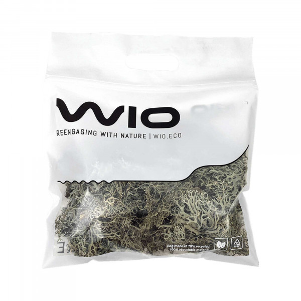 WIOdecor-Linchen | LICHEN Baummoos BITES - 100g - 1-10cm | Flechten
