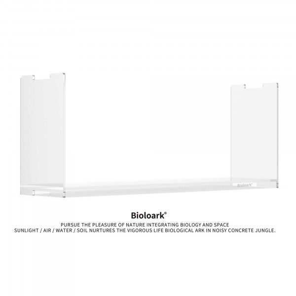 Bioloark Bubble Cup Set | inkl. LED und Display