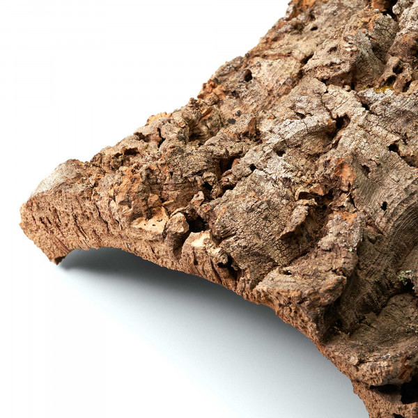 Korkplatten für Terrarium | 30-50cm Makro