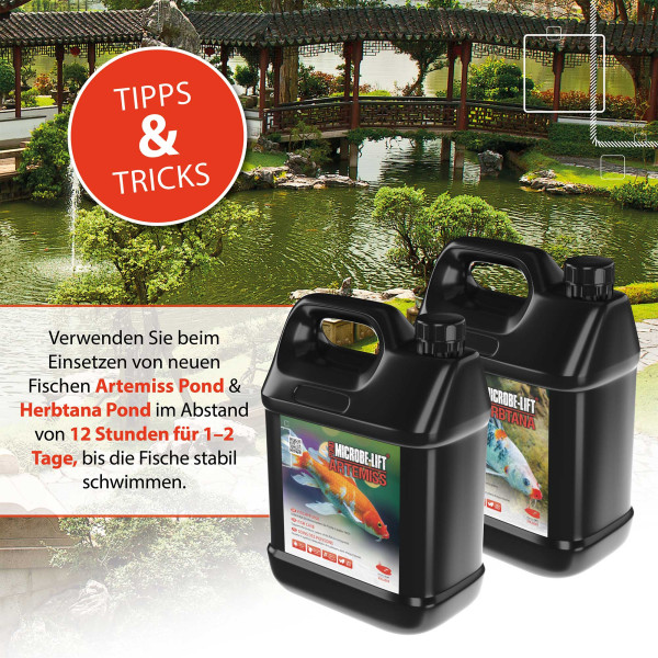 ARKA TEICH Artemiss | Fischpflege auf Kräuterbasis