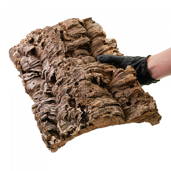 Korkplatten für Terrarium | 30-50cm