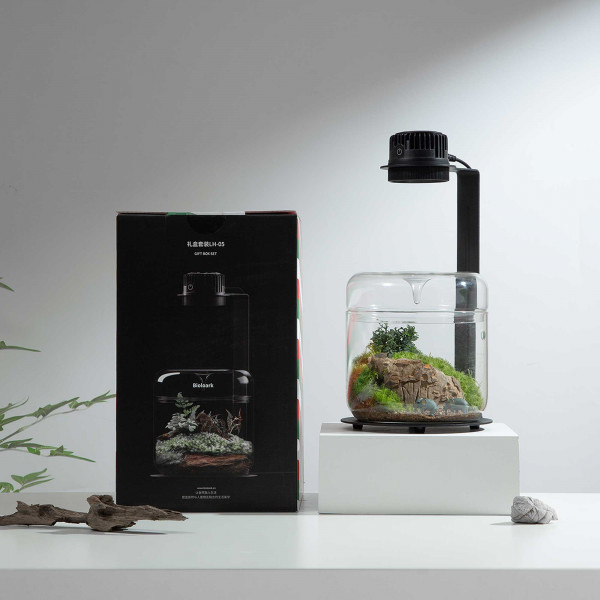Bioloark Luji Glass Cup Set inkl. LED
