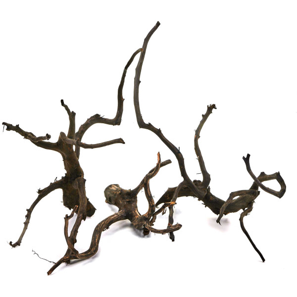 Black Wood Wurzel | Set S