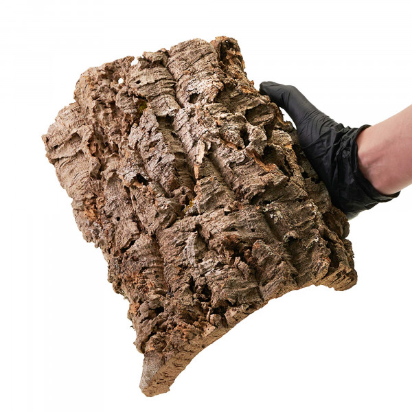 Korkplatten für Terrarium | 30-50cm