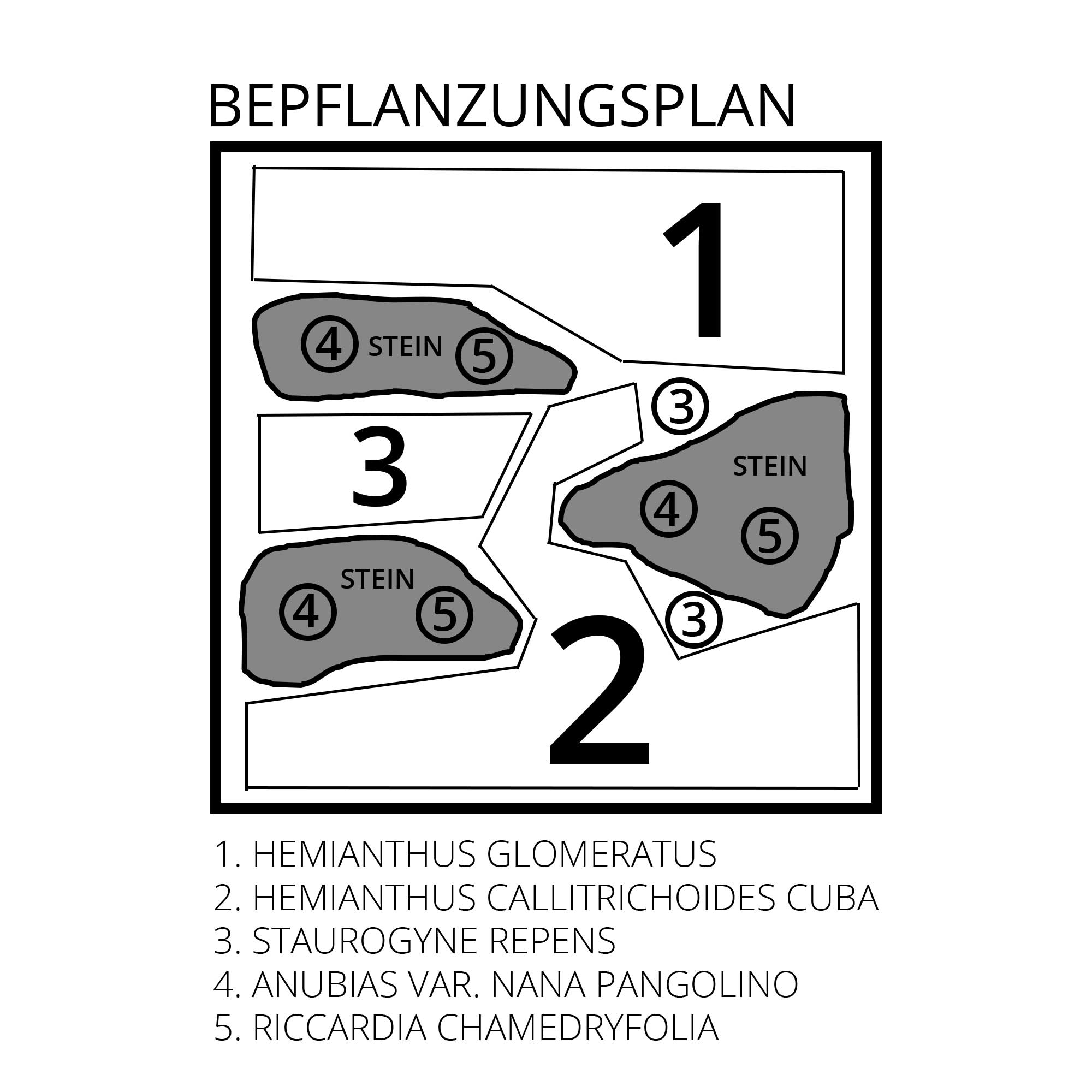 Bepflanzungsplan Green Nano Cube Set