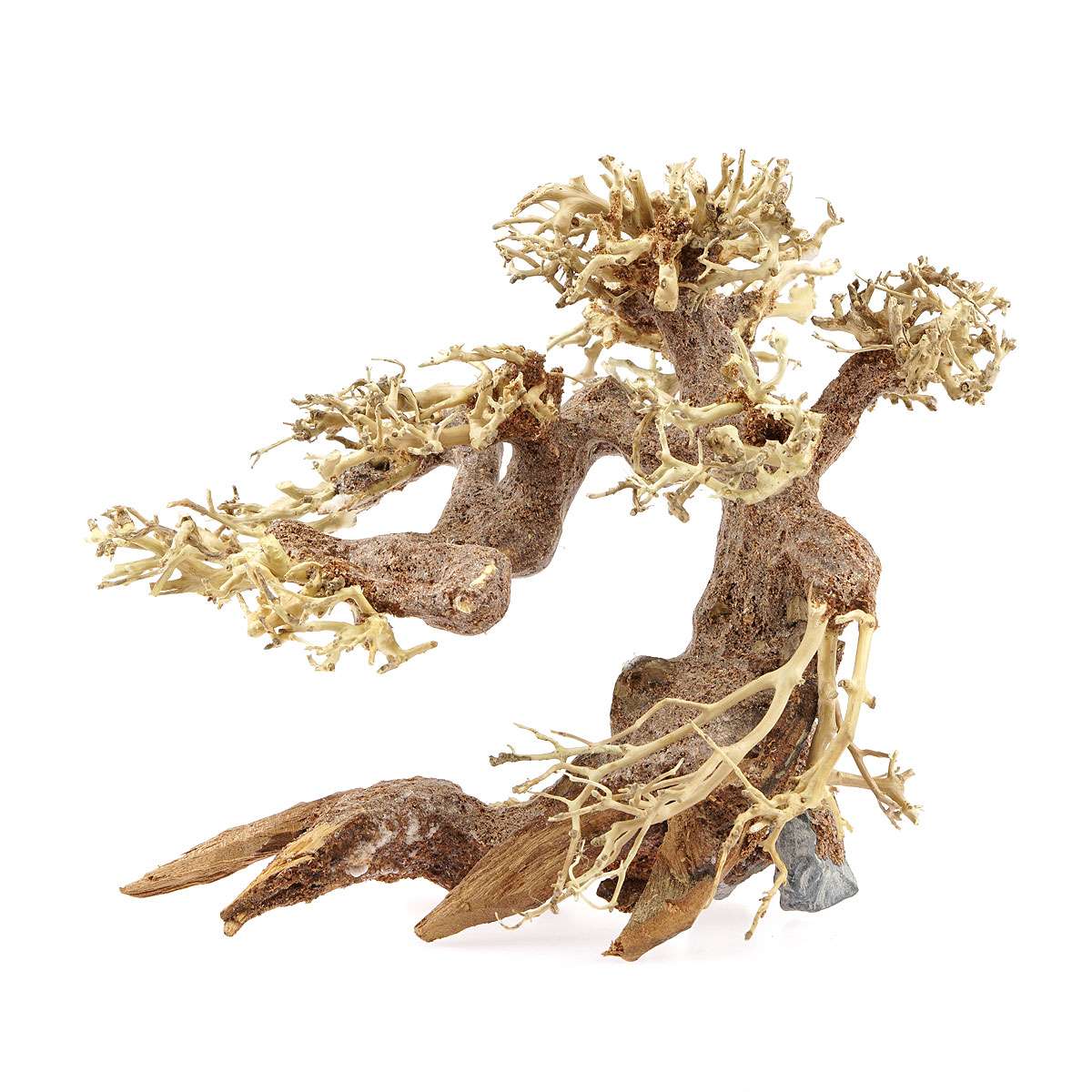 Aqua-Bonsai Baum gnstig kaufen | Garnelen-Guemmer