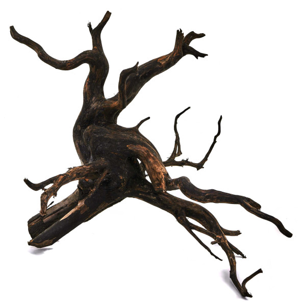 Black Wood Wurzel | Set L Einzelstück
