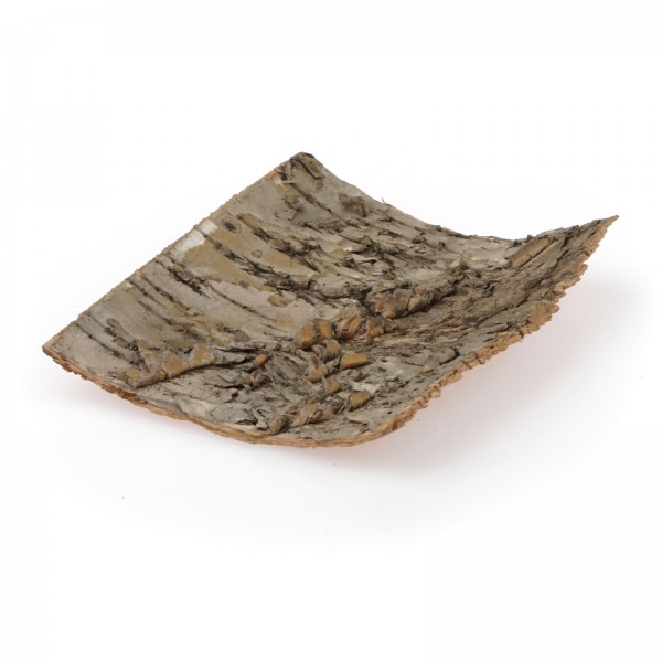 Birkenrindenplatten | Futterplatz für Garnelen - 5Stk.