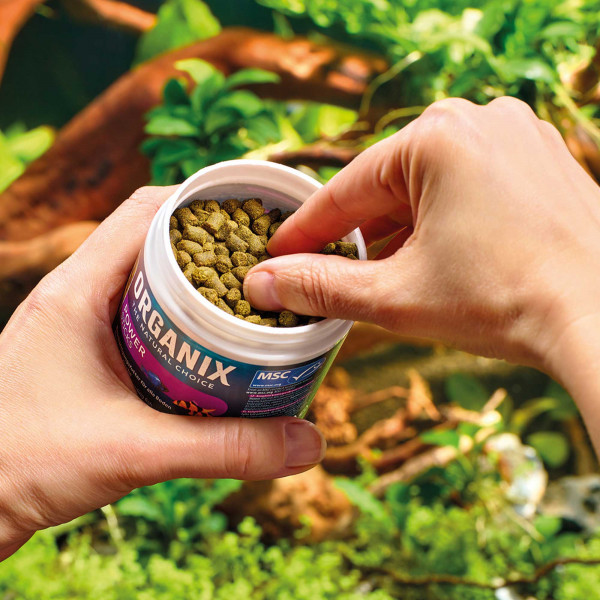 ORGANIX Power Sticks MSC